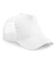 White/White