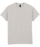 Ice Grey