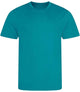 Turquoise Blue