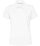 Arctic White