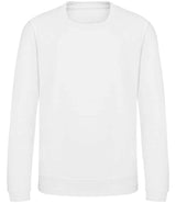 Arctic White
