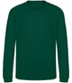 Rainforest Green