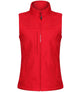 Classic Red/Seal Grey