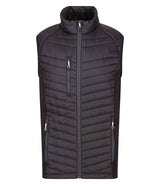 Navy/Seal Grey