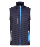 Navy/French Blue