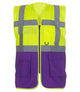 Yellow/Purple